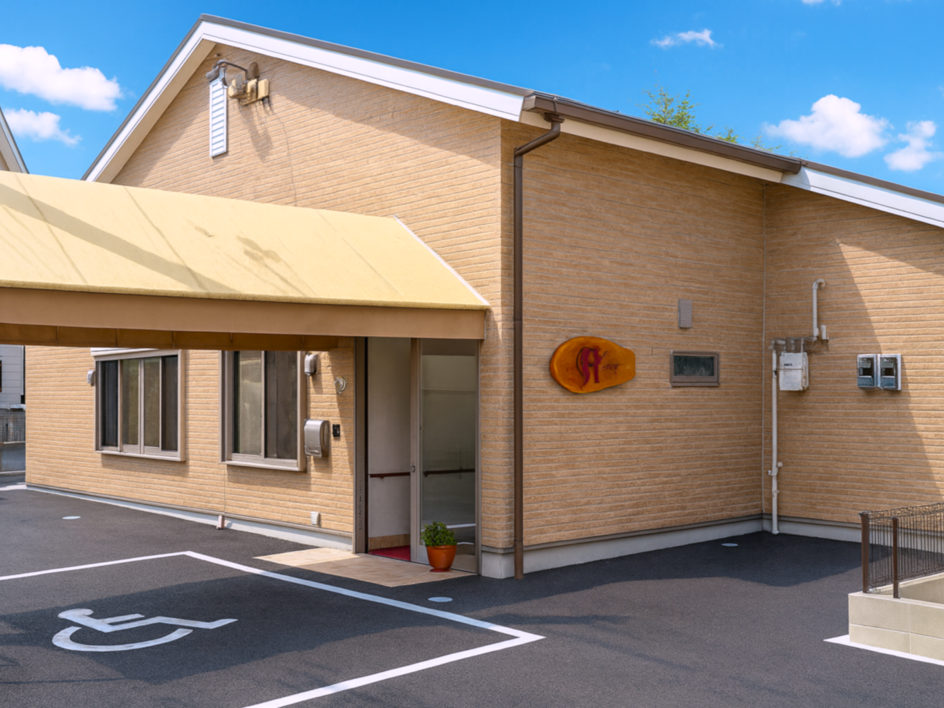 realistic photo-styl